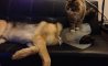 Fun Pic - Donnerstags Fun PicDump #142 - 8
