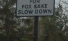 Fun Pic - Donnerstags Fun PicDump #144 - 28