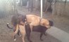 Fun Pic - Donnerstags Fun PicDump #144 - 48