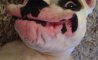 Fun Pic - Donnerstags Fun PicDump #147 - 147