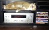 Fun Pic - Donnerstags Fun PicDump #147 - 56