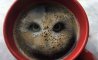 Fun Pic - Donnerstags Fun PicDump #147 - 87