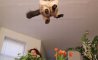 Fun Pic - Donnerstags Fun PicDump #157 - 44
