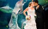Fun Pic - Donnerstags Fun PicDump #160 - 109