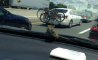Fun Pic - Donnerstags Fun PicDump #160 - 89
