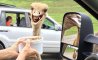 Fun Pic - Donnerstags Fun PicDump #161 - 11