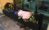 Fun Pic - Donnerstags Fun PicDump #161 - 23