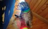 Fun Pic - Donnerstags Fun PicDump #163 - 109