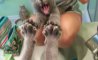 Fun Pic - Donnerstags Fun PicDump #163 - 14