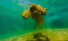 Fun Pic - Donnerstags Fun PicDump #163 - 54