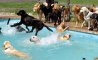 Fun Pic - Donnerstags Fun PicDump #165 - 129