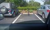 Fun Pic - Donnerstags Fun PicDump #168 - 116