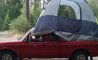 Fun Pic - Donnerstags Fun PicDump #168 - 36