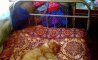 Fun Pic - Donnerstags Fun PicDump #168 - 8