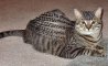 Fun Pic - Donnerstags Fun PicDump #168 - 80
