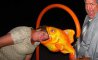 Fun Pic - Donnerstags Fun PicDump #170 - 36