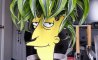 Fun Pic - Donnerstags Fun PicDump #171 - 12