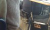 Fun Pic - Donnerstags Fun PicDump #171 - 4