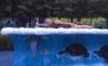 Fun Pic - Donnerstags Fun PicDump #171 - 40