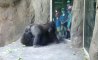 Fun Pic - Donnerstags Fun PicDump #171 - 76