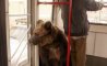 Fun Pic - Donnerstags Fun PicDump #175 - 11