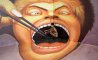 Fun Pic - Donnerstags Fun PicDump #177 - 1