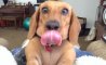 Fun Pic - Donnerstags Fun PicDump #180 - 30