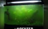 Fun Pic - Donnerstags Fun PicDump #182 - 110
