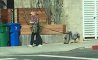 Fun Pic - Donnerstags Fun PicDump #182 - 162
