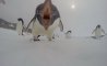 Fun Pic - Donnerstags Fun PicDump #182 - 26