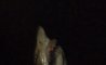 Fun Pic - Donnerstags Fun PicDump #182 - 66