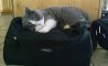 Fun Pic - Donnerstags Fun PicDump #182 - 74