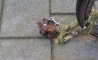 Fun Pic - Donnerstags Fun PicDump #182 - 78