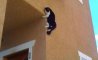 Fun Pic - Donnerstag Fun PicDump #204 - 103