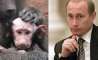 Fun Pic - Donnerstag Fun PicDump #204 - 3