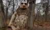 Fun Pic - Donnerstag Fun PicDump #275 - 102