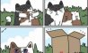 Fun Pic - Donnerstag Fun PicDump #286 - 23