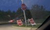 Fun Pic - Donnerstag Fun PicDump #348 - 3