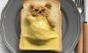 Fun Pic - Donnerstag Fun PicDump #356 - 14