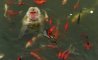 Fun Pic - Donnerstag Fun PicDump #356 - 90