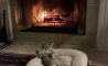 Fun Pic - Donnerstag Fun PicDump #356 - 94