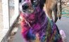 Fun Pic - Donnerstag Fun PicDump #412 - 32