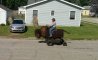 Fun Pic - Donnerstag Fun PicDump #413 - 30