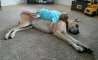 Fun Pic - Donnerstag Fun PicDump #495 - 122