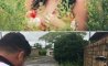 Fun Pic - Donnerstag Fun PicDump #500 - 113