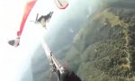 Funny Video : Adler vs Paraglider