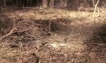 Movie : In jedem steckt ein Feuerwehrmann