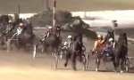 Funny Video : Neulich beim Pferderennen