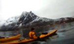 Der Buckelwal und das Kayak