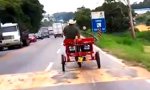 Lustiges Video : Motorisiertes Pferd